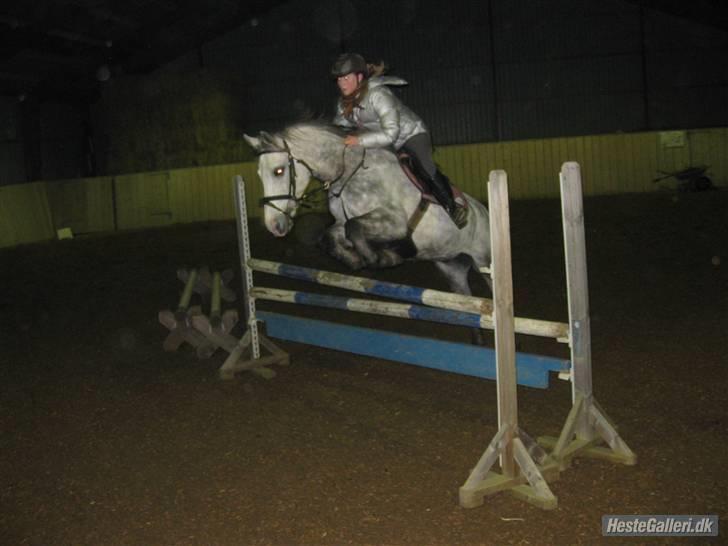 Anden særlig race CASMIR | - yay <3 billede 7