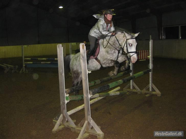 Anden særlig race CASMIR | billede 8