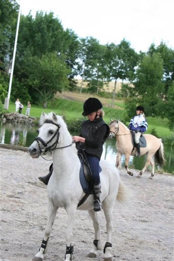 Anden særlig race Misty  <3 - Erholm tur - 03 billede 1