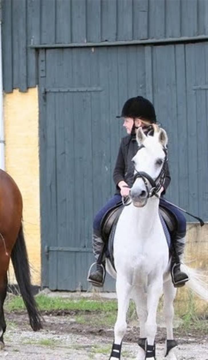 Anden særlig race Misty  <3 - Erholm tur - 03 billede 2