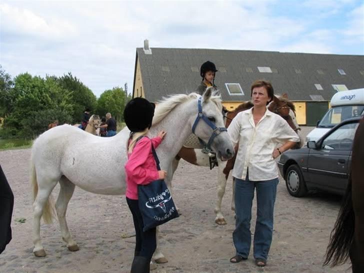 Anden særlig race Misty  <3 - Erholm tur - 02 billede 3