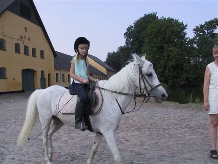 Anden særlig race Misty  <3 - Erholm tur - 03 billede 6