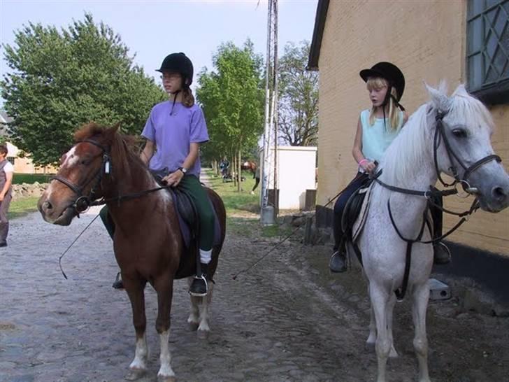 Anden særlig race Misty  <3 - Erholm tur - 03 billede 7