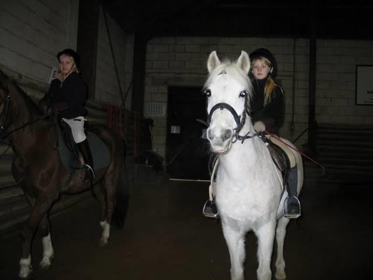 Anden særlig race Misty  <3 - Juleafslutning - 03 billede 8