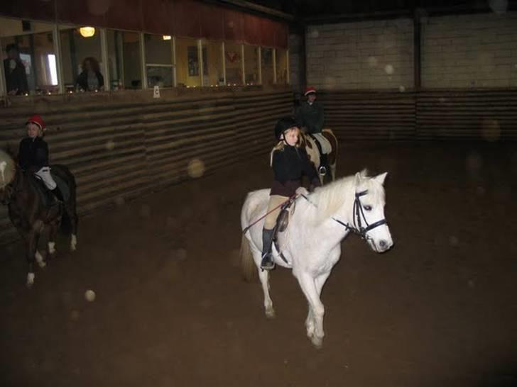 Anden særlig race Misty  <3 - Juleafslutning - 03 billede 9