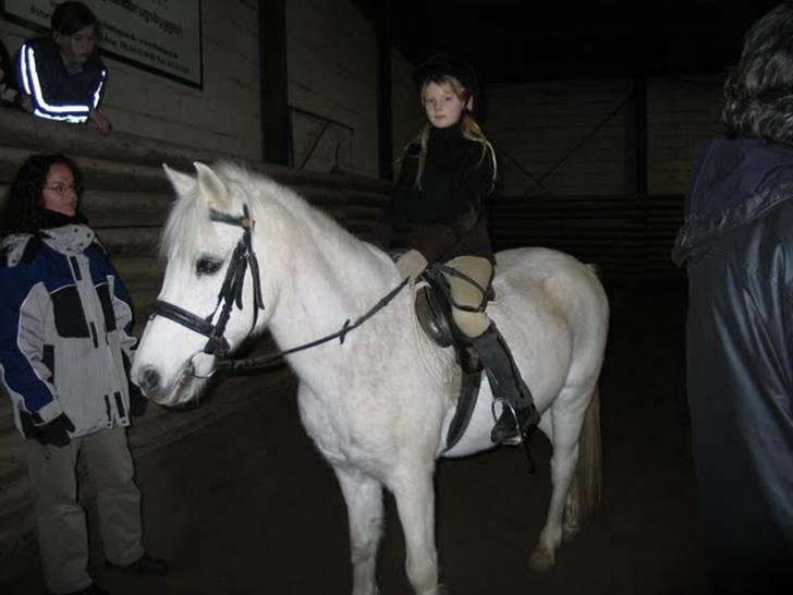 Anden særlig race Misty  <3 - Juleafslutning - 03 billede 11