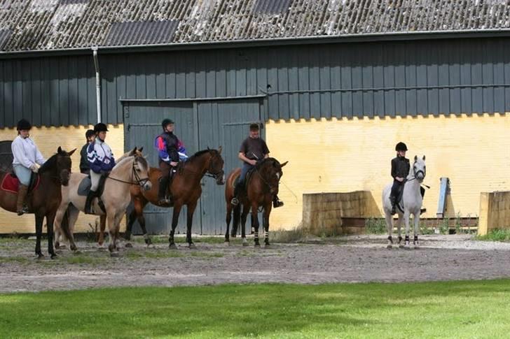 Anden særlig race Misty  <3 - Erholm tur - 03 billede 12