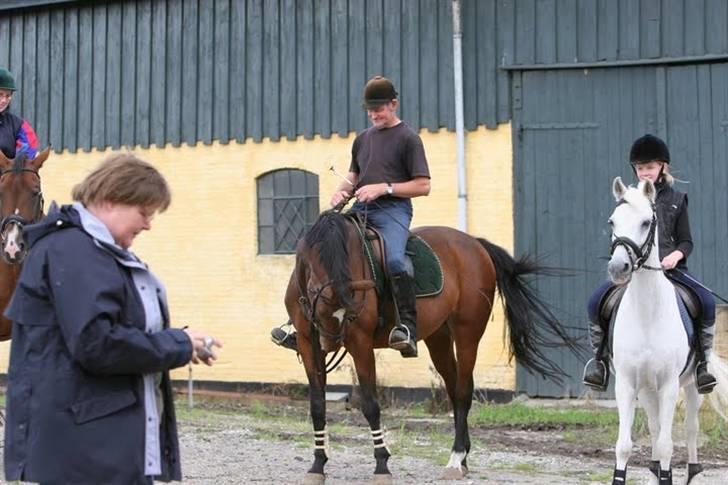 Anden særlig race Misty  <3 - Erholm tur - 03 billede 13