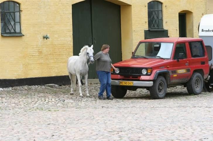 Anden særlig race Misty  <3 - Erholm tur - 03 billede 14