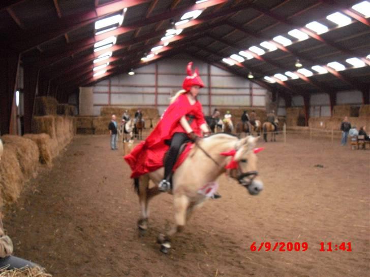 Fjordhest Freja (Smukke) Solgt! - os til ringridning fik en førsteplads ;D billede 9