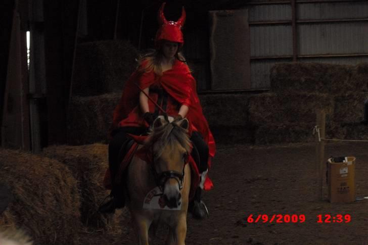 Fjordhest Freja (Smukke) Solgt! - The red devils!!! billede 10