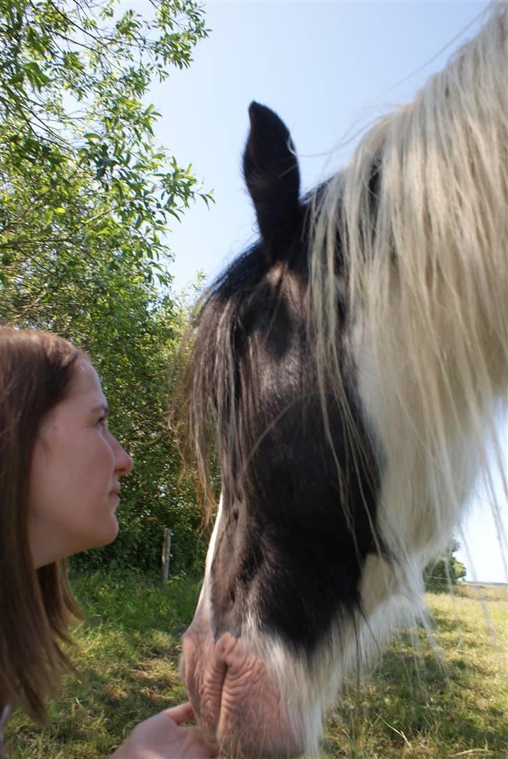 Tinker Katinka billede 12