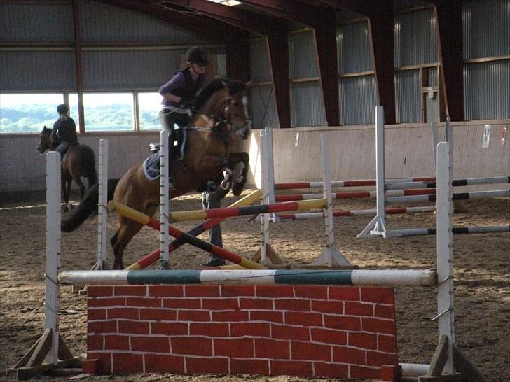 New Forest Egeballes Petroleum solgt <3 billede 5