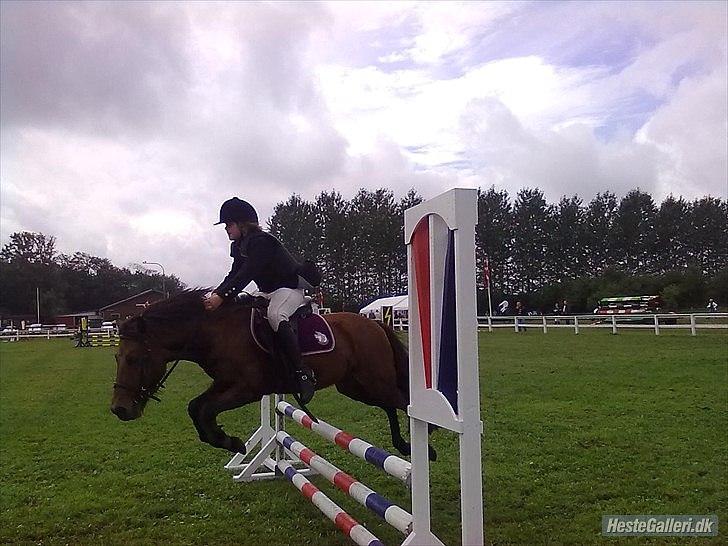 Anden særlig race Passo<3 i; - velkommen til passo´s profil :-)
SOLGT :-/ billede 1