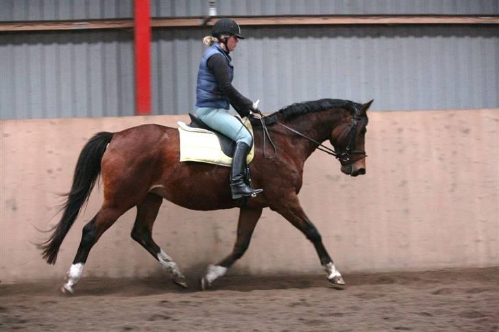 Trakehner Kandis Dyrhave - 1.november 2009. Kandis og mig. Træner igen dressur efter ca 1 års pause. billede 18