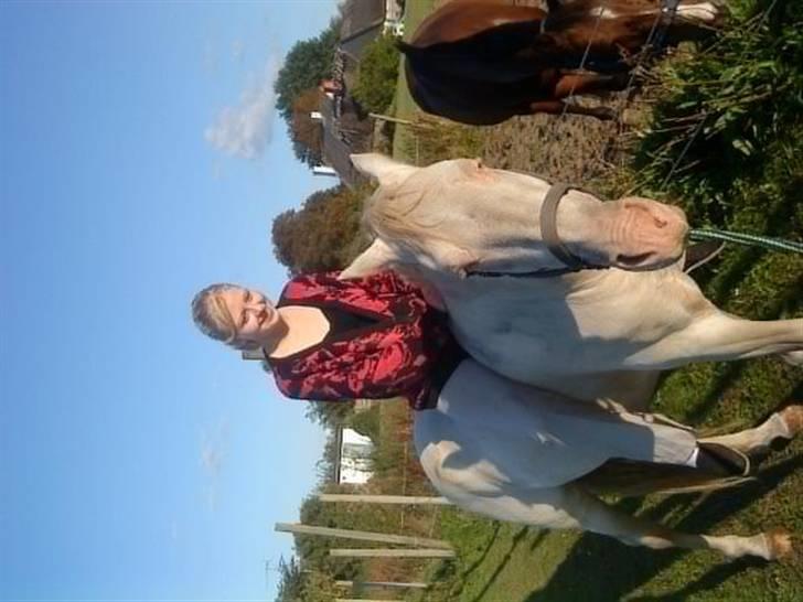 Palomino lucifer - ved godt det vender forkert. det er anden gang jeg sidder på ham. billede 13