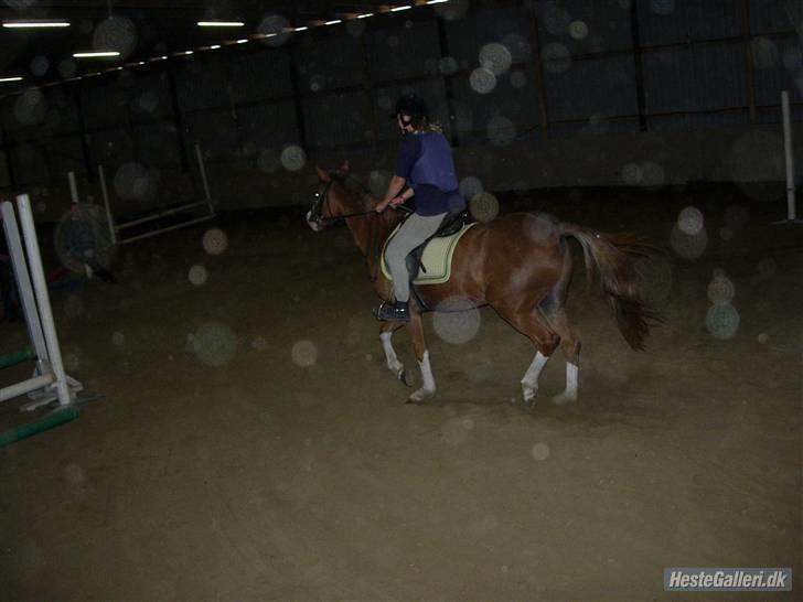 Anden særlig race jupiter(G.Lpart<3)juppi<3 - opvamning til spring undervisning :) billede 3