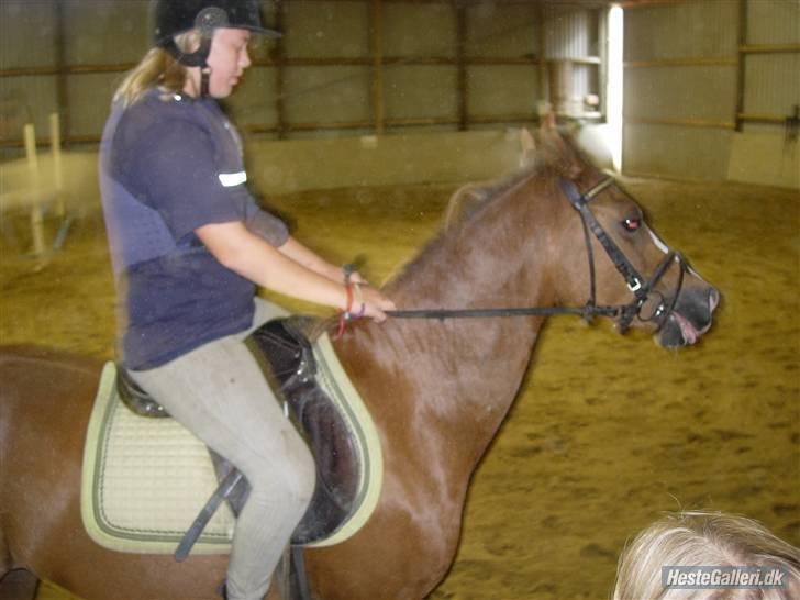 Anden særlig race jupiter(G.Lpart<3)juppi<3 billede 4