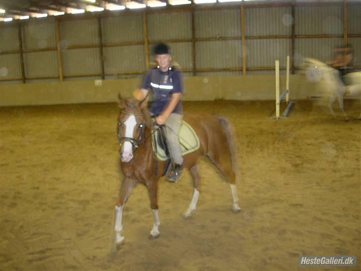 Anden særlig race jupiter(G.Lpart<3)juppi<3 billede 5