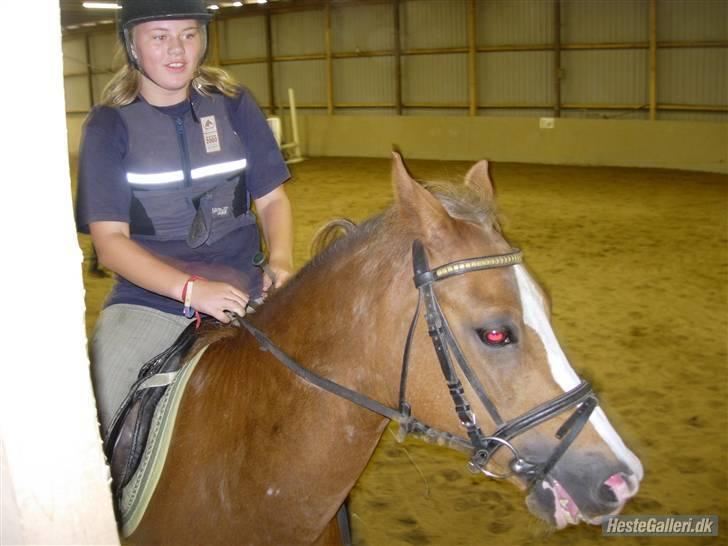 Anden særlig race jupiter(G.Lpart<3)juppi<3 billede 7