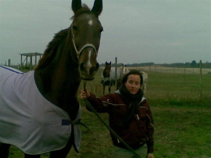 Anden særlig race Mitzi *R.I.P* 29/6 2010 billede 1