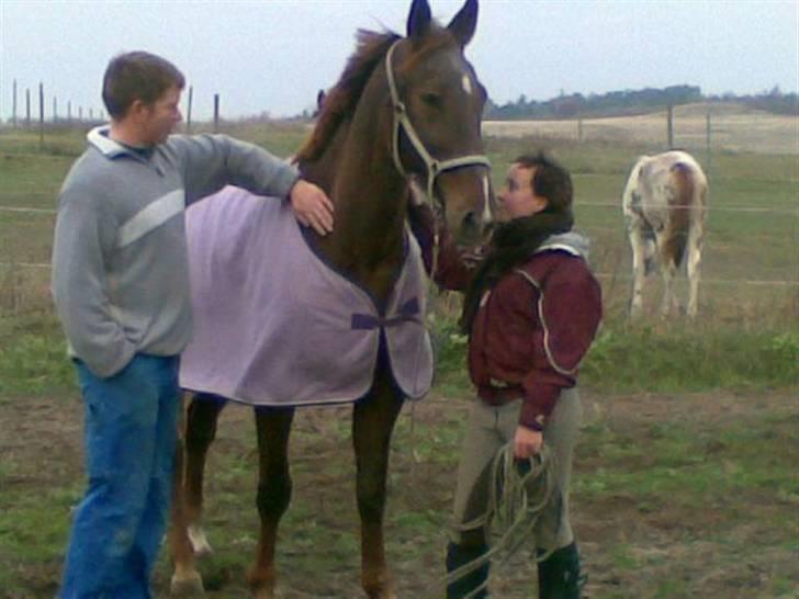 Anden særlig race Mitzi *R.I.P* 29/6 2010 billede 2