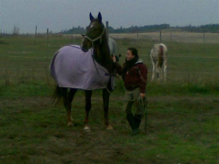 Anden særlig race Mitzi *R.I.P* 29/6 2010 billede 3