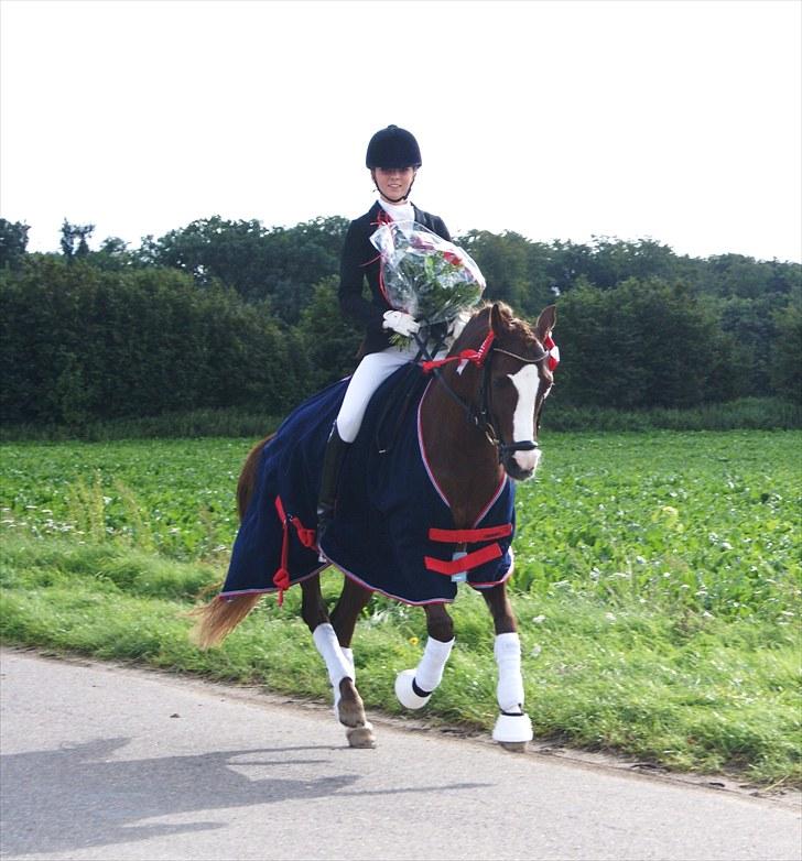 DSP Amadeus A.M.  - Vinder af Falster dressage cuppen. billede 4