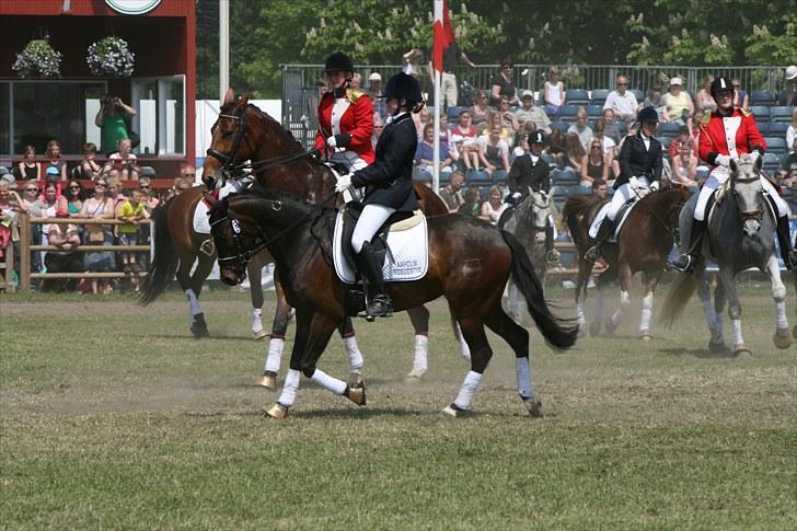 DSP Moonjam´s Poéme  *B-pony* - Show Roskilde Dyrskue 2010 billede 16