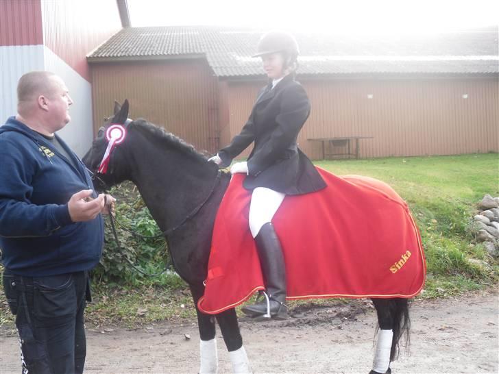 New Forest Sinka - Far vejleder lige Caroline <3 dejligt med massere a´ støtte .  billede 13