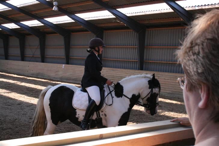 Tinker Julie R.I.P.  billede 8