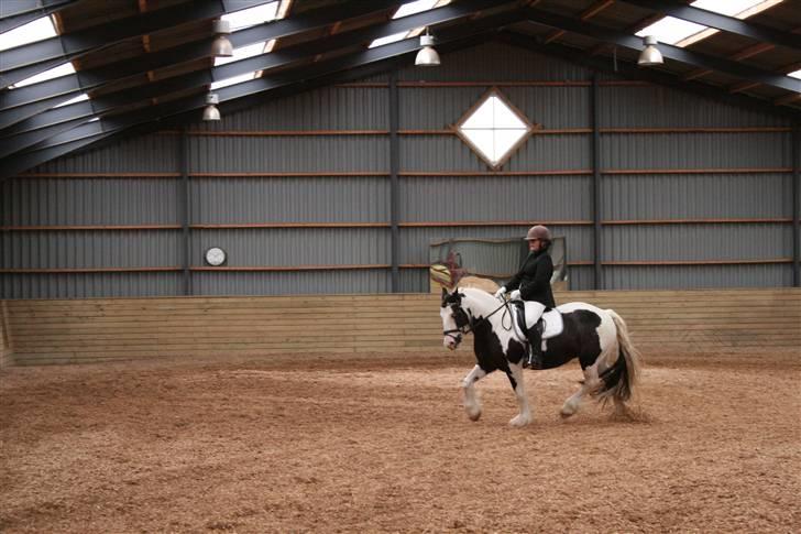 Tinker Julie R.I.P.  billede 10