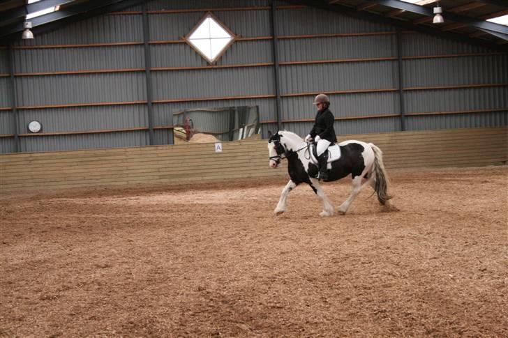 Tinker Julie R.I.P.  billede 11