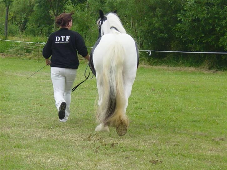 Tinker Julie R.I.P.  billede 14