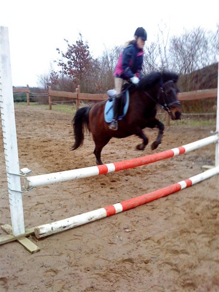 Anden særlig race Star Girl - Hop! <3 billede 12