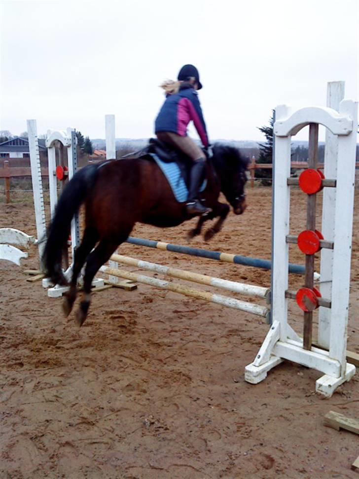 Anden særlig race Star Girl - Hop...igen! billede 13