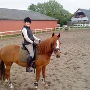 Anden særlig race - VEJGAARS LUCA<3 solgt til Sverige