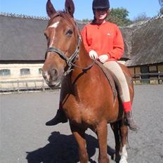 Frederiksborg Romeo bakkely (Thor)