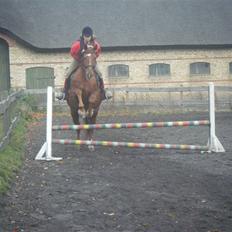 Frederiksborg Romeo bakkely (Thor)