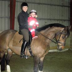 Trakehner Pihorn RIP