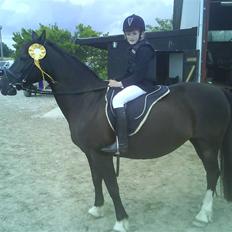 Anden særlig race Leika