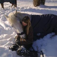 DSP Dü mapromis (solgt)