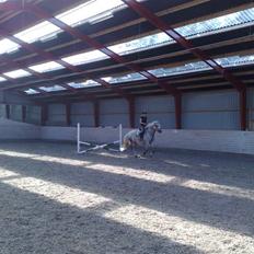 DSP Dü mapromis (solgt)