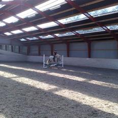 DSP Dü mapromis (solgt)