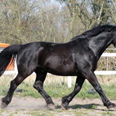 Oldenborg Leif Rudbæk