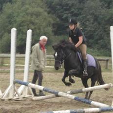 Anden særlig race Stjerne <3Gammel halvpart