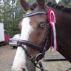 DSP simba<3 (bassemand)