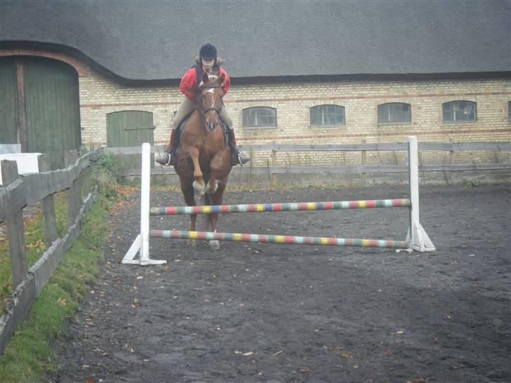 Frederiksborg Romeo bakkely (Thor) - spring (: billede 2