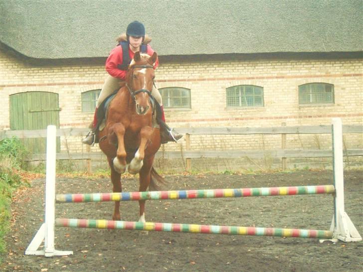 Frederiksborg Romeo bakkely (Thor) - mere spring (: billede 3