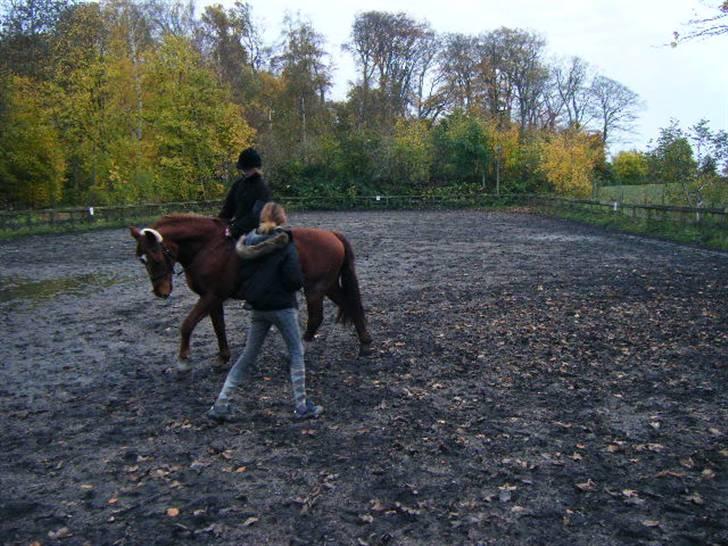 Frederiksborg Romeo bakkely (Thor) - sofie prøver at undervise mig (man kan diskuterer hvordan det gik xP) billede 7